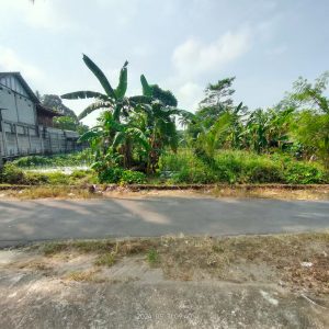 WhatsApp Image 2024-06-03 at 09.48