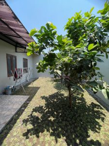 WhatsApp Image 2024-02-16 at 13.49