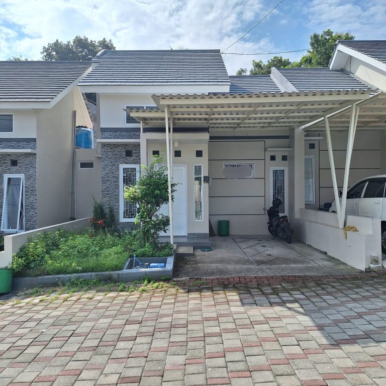 WhatsApp Image 2024-03-21 at 03.28