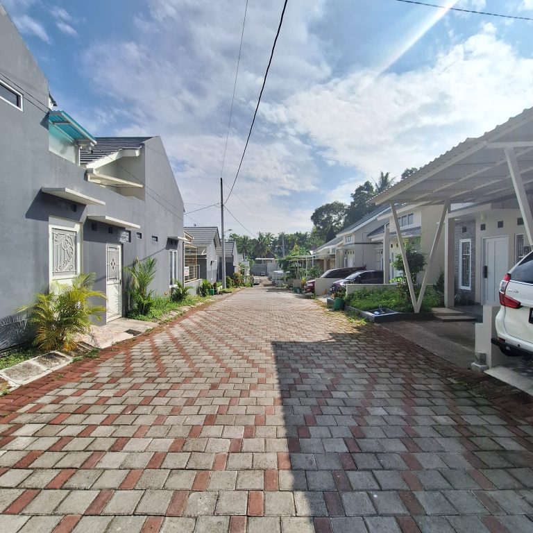 WhatsApp Image 2024-03-21 at 03.28