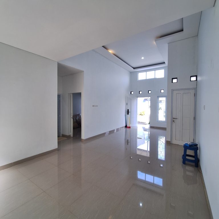 WhatsApp Image 2024-03-21 at 03.28