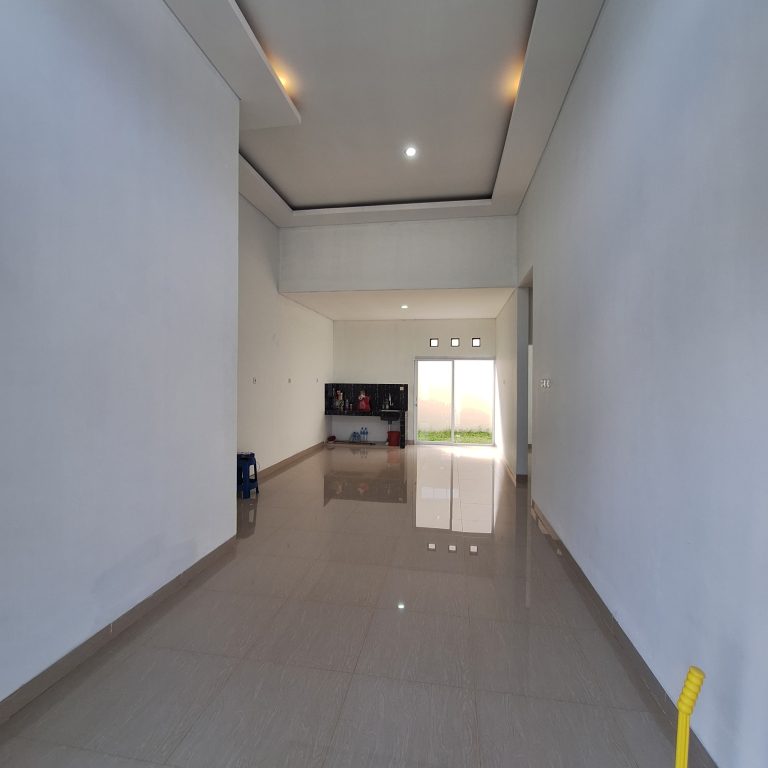 WhatsApp Image 2024-03-21 at 03.28