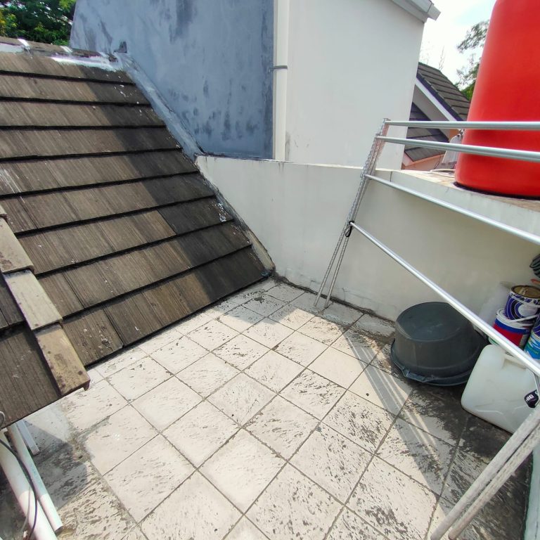 WhatsApp Image 2024-03-22 at 16.22