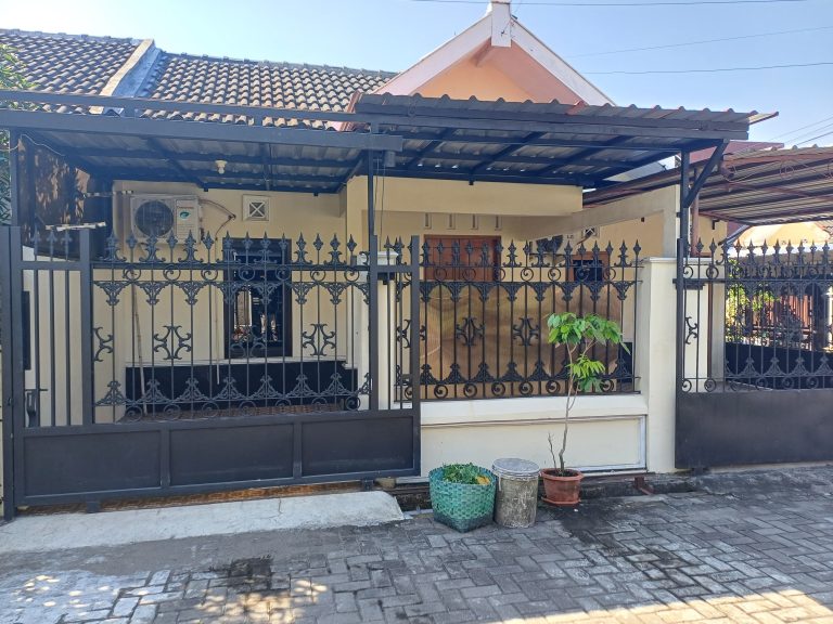 WhatsApp Image 2024-07-18 at 08.15