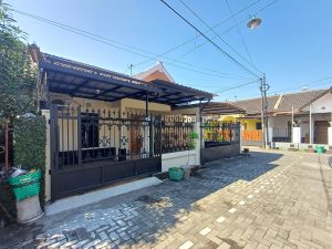 WhatsApp Image 2024-07-18 at 08.15