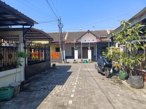 WhatsApp Image 2024-07-18 at 08.15