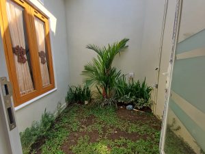 WhatsApp Image 2024-09-06 at 09.32