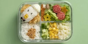 Program Makan Gratis 2025